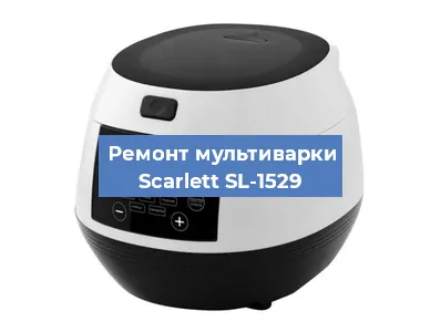 Замена ТЭНа на мультиварке Scarlett SL-1529 в Екатеринбурге